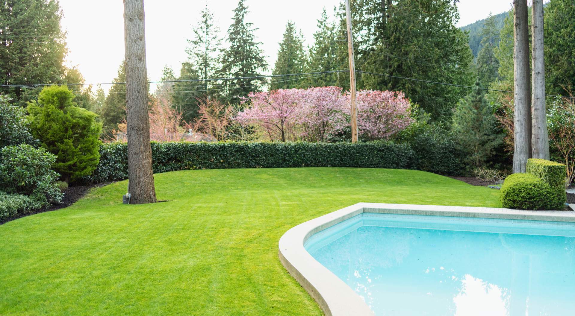 2998 Rosebery Avenue - Viviendas y Bienes Raíces en West Vancouver - BC