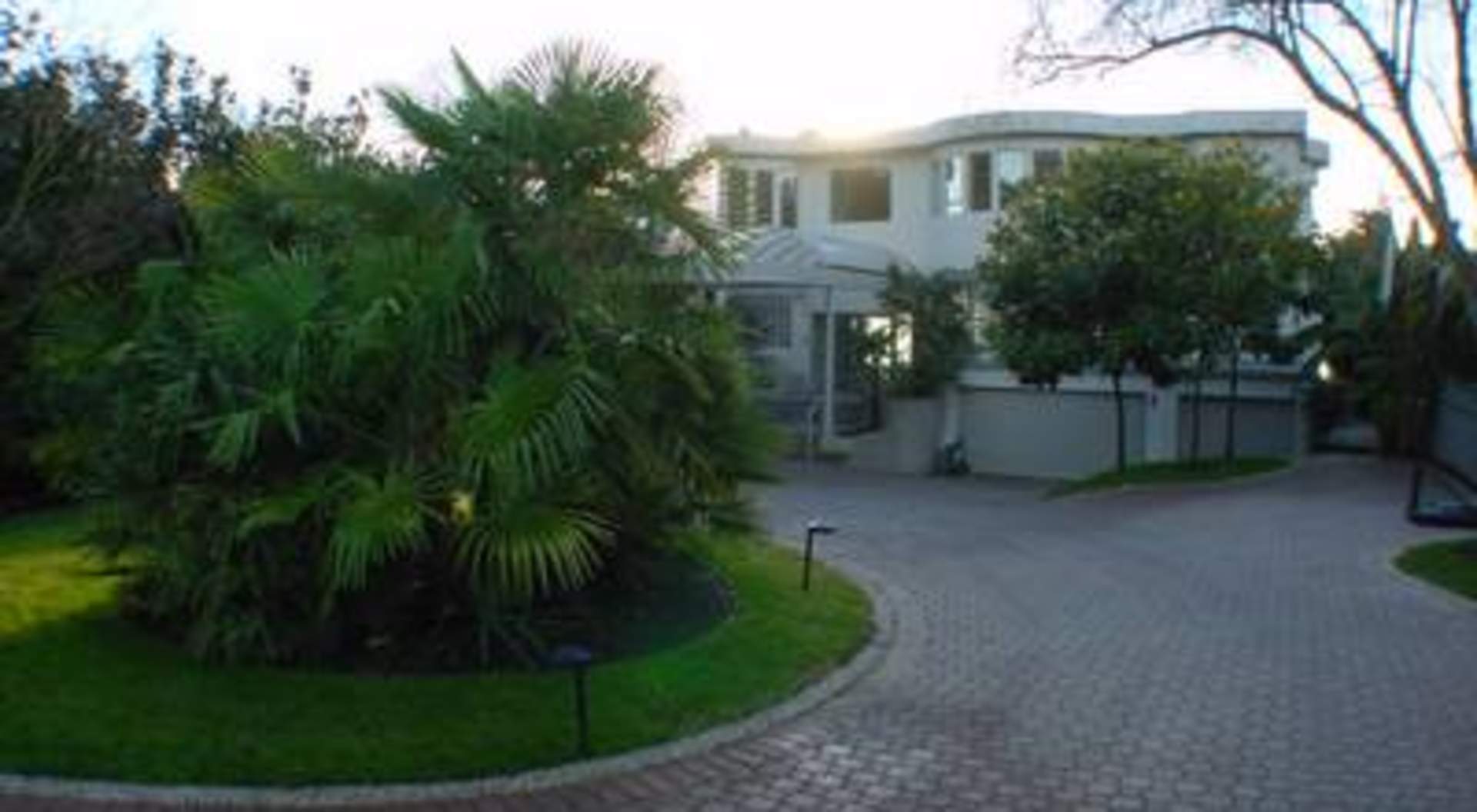 Mature Level Garden with Palm Trees