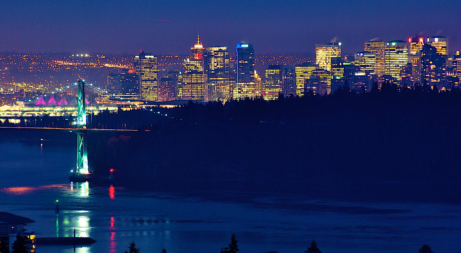 Stanley Park in Evening