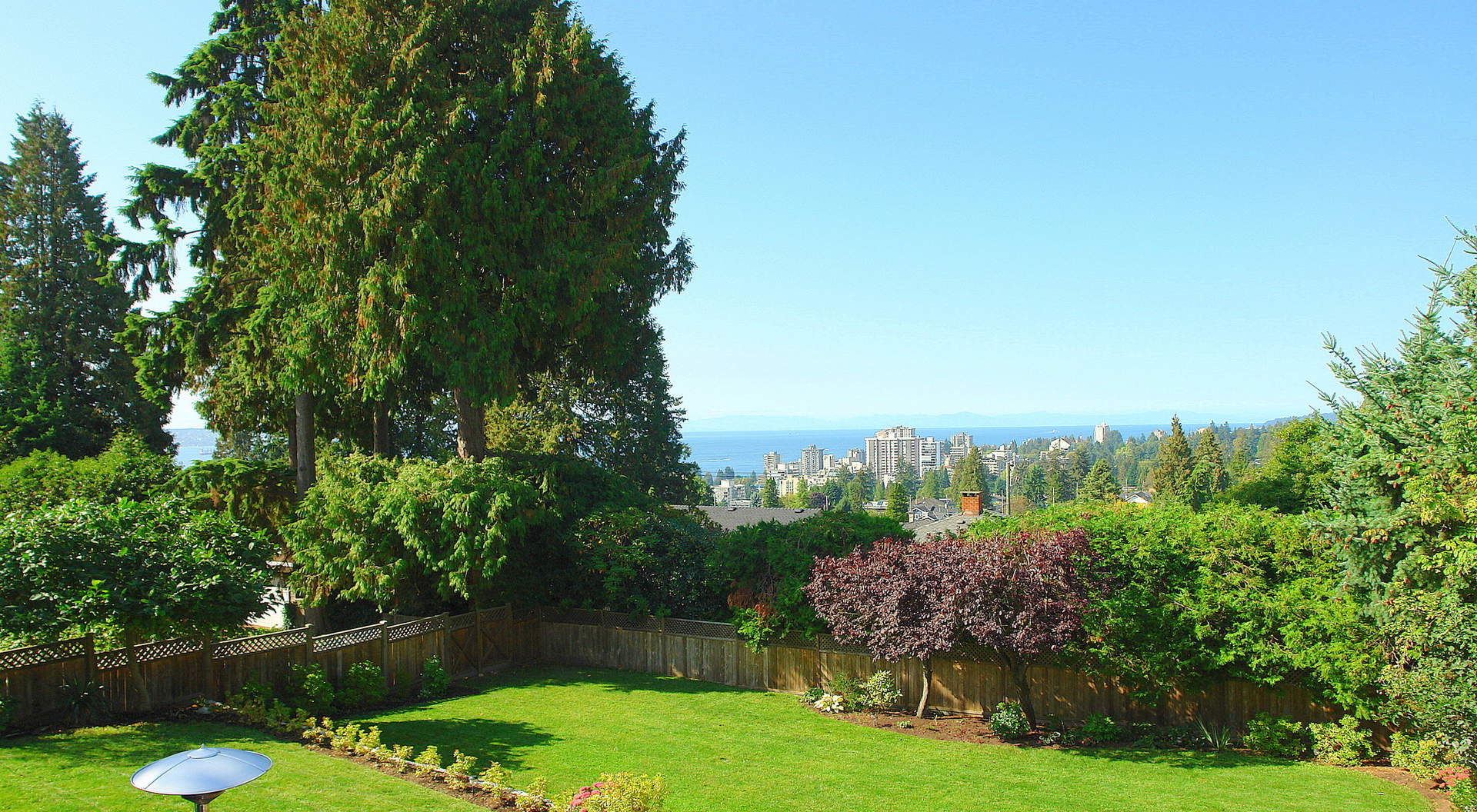 Gorgeous Backyard