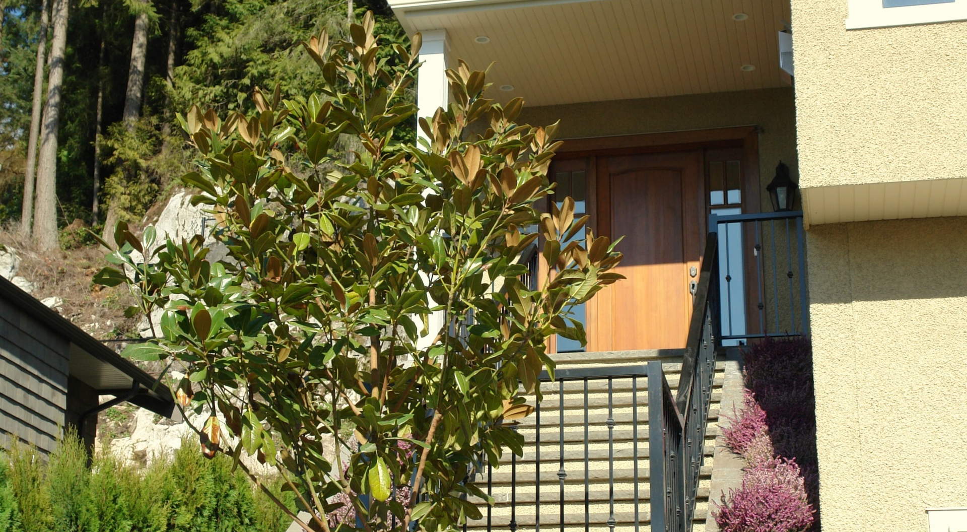 Front Entry To Home