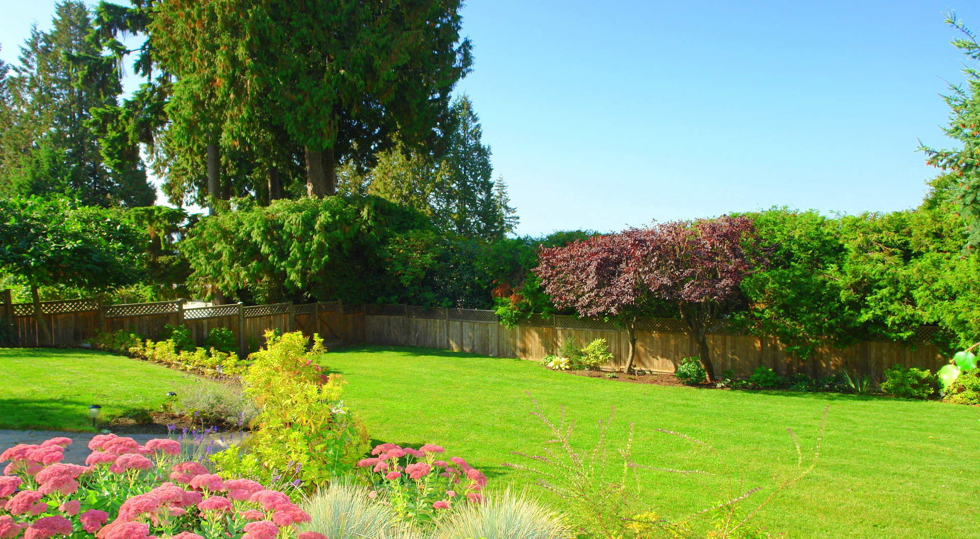 Gorgeous Backyard