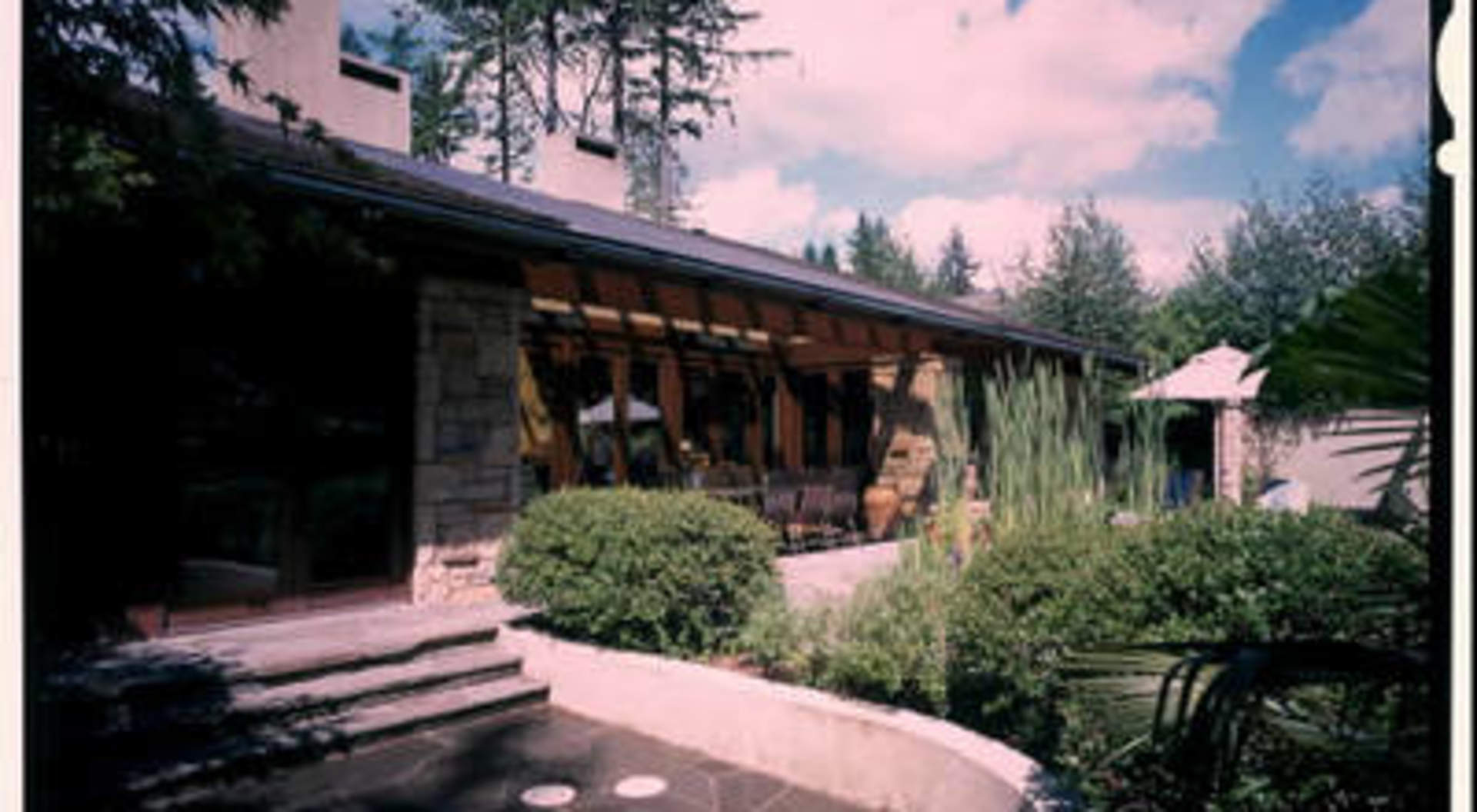 South Facing Backyard with Outdoor Pond