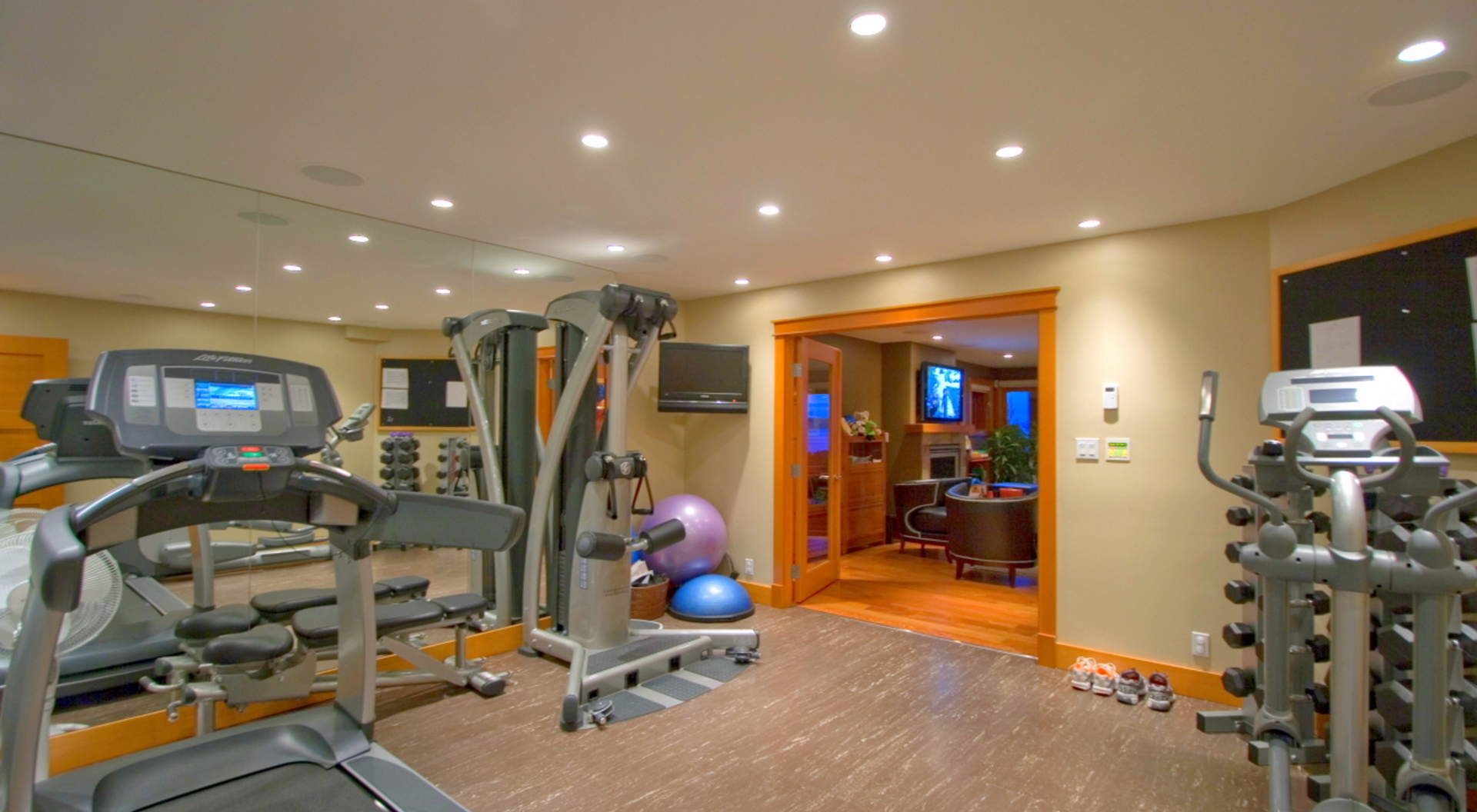 Home Gym with State-of-the-Art Equipment