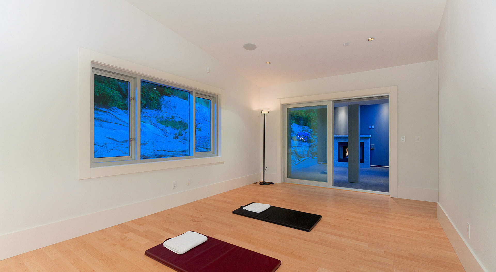 Gym/Yoga/ Lounge Room