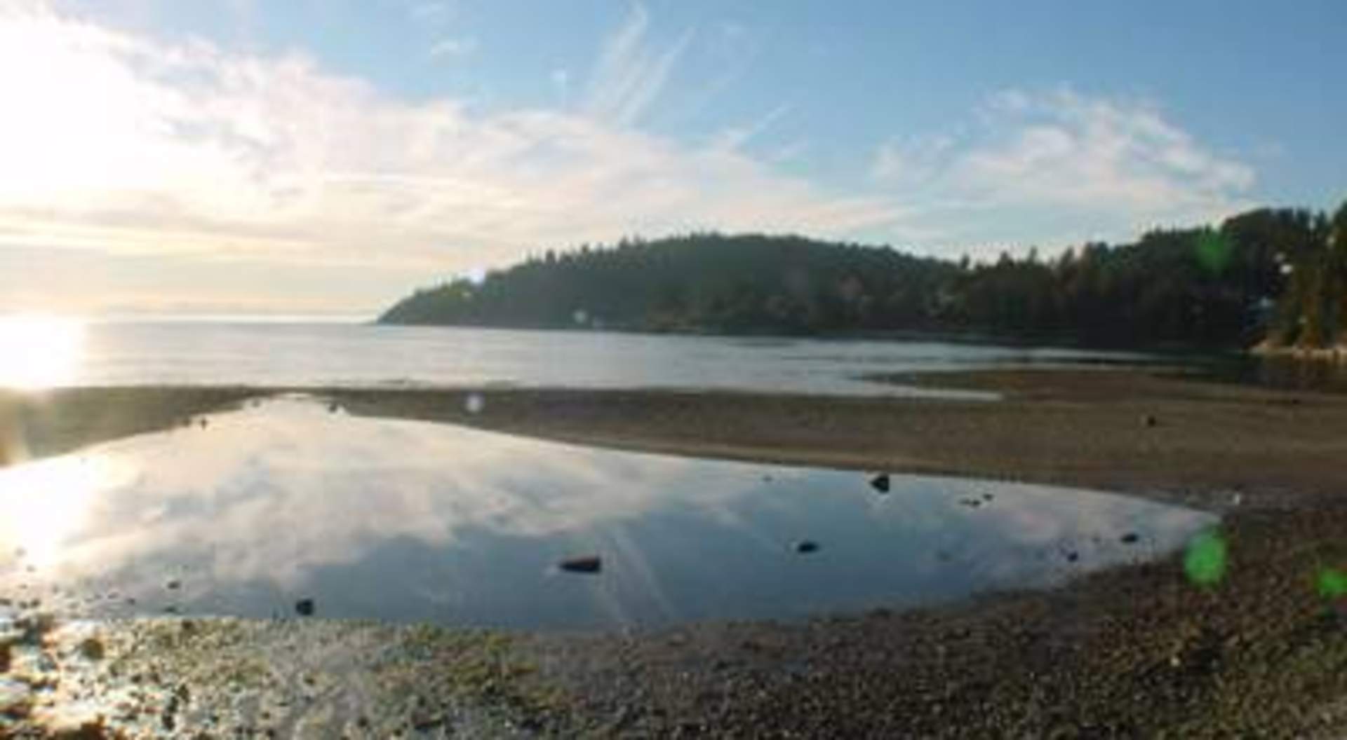 Play in the Tide Pool