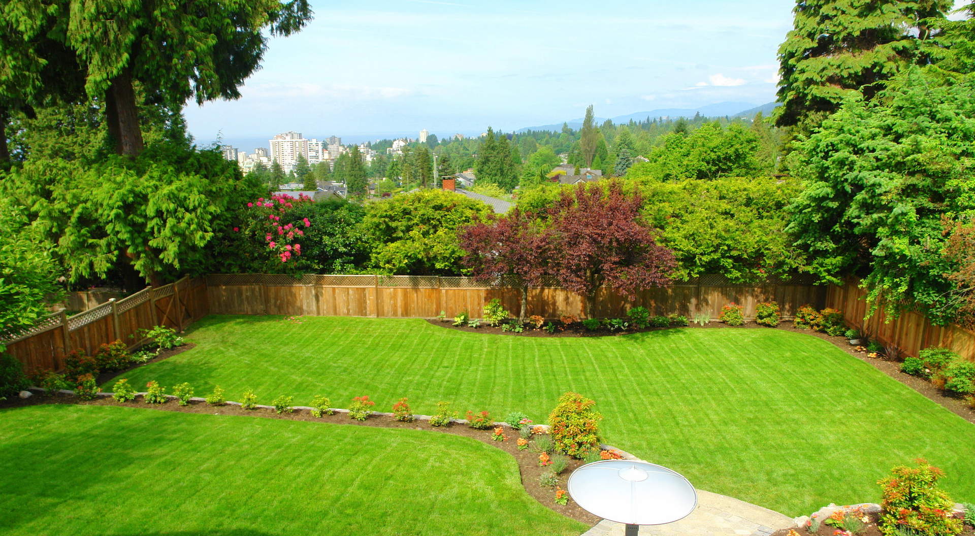 Gorgeous West Facing Backyard