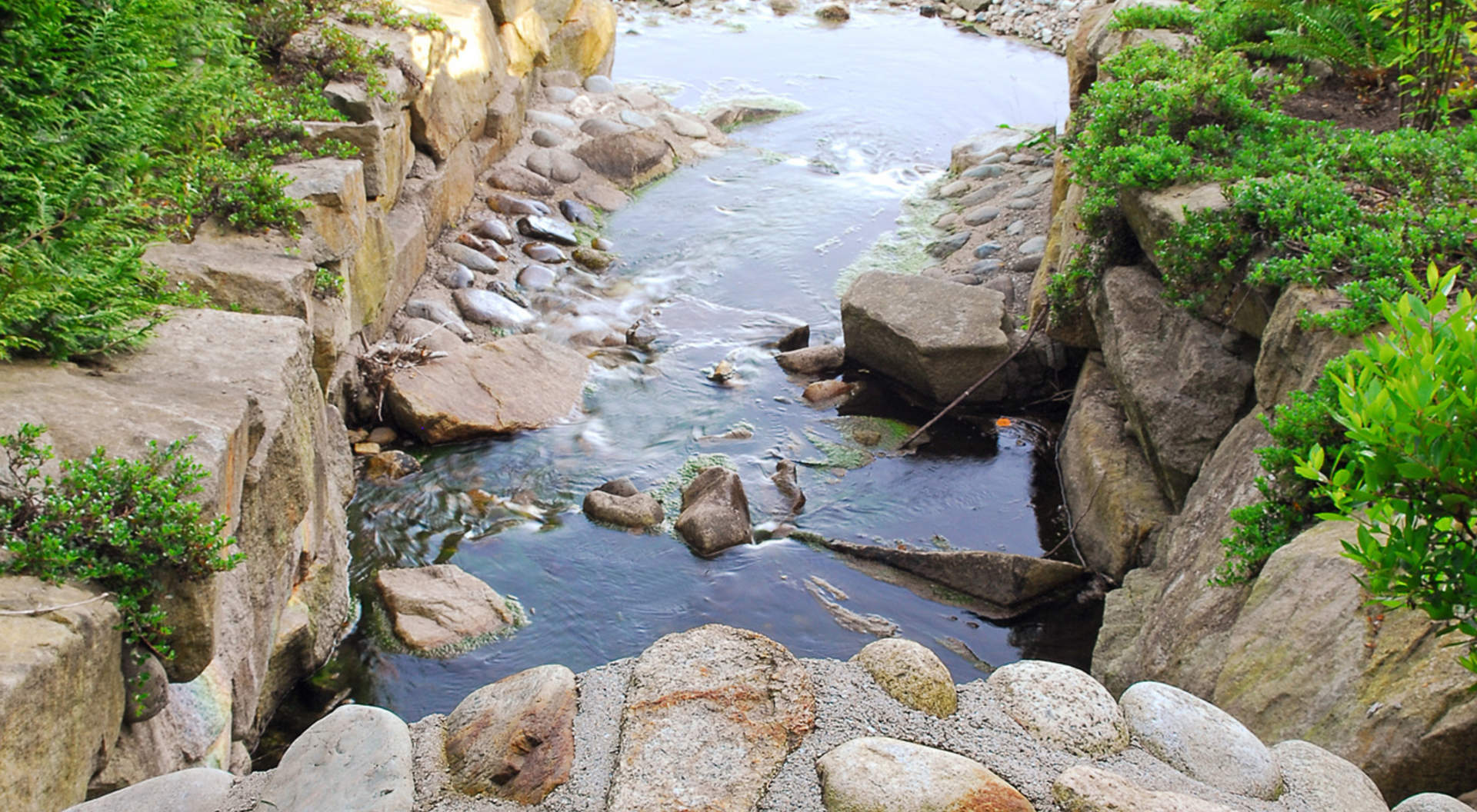 Gorgeous Creek out to the Ocean's Edge