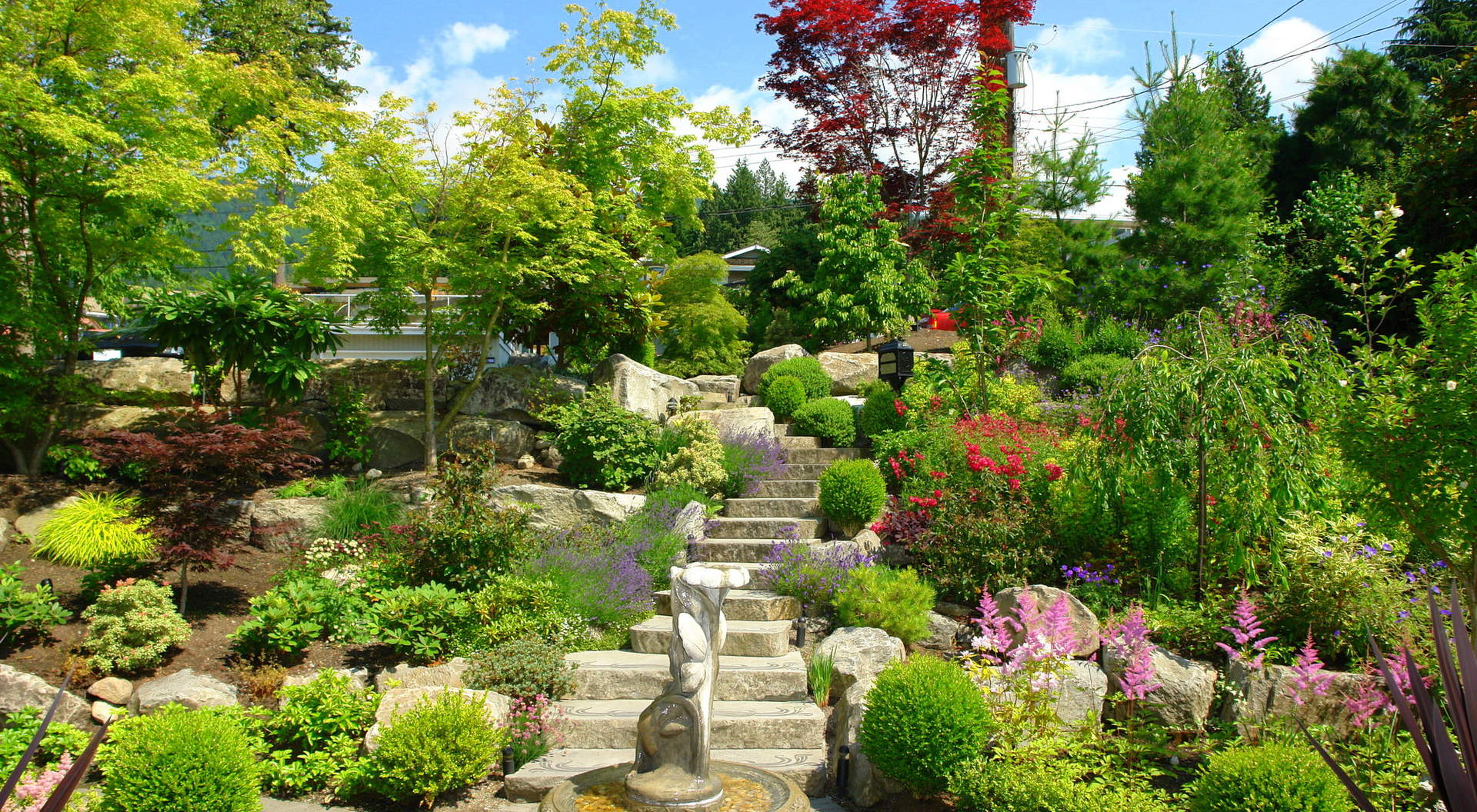 Front Gardens and Entry